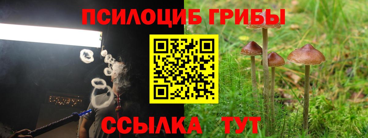 Ивантеевка  Псилоцибиновые грибы Cubensis  Вход с VPN 